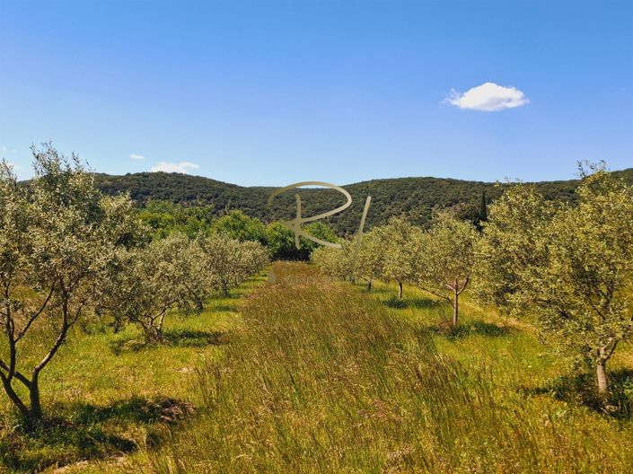 Image No.10-3 Bed House for sale