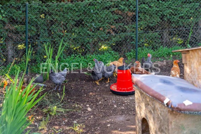 Image No.40-6 Bed House for sale