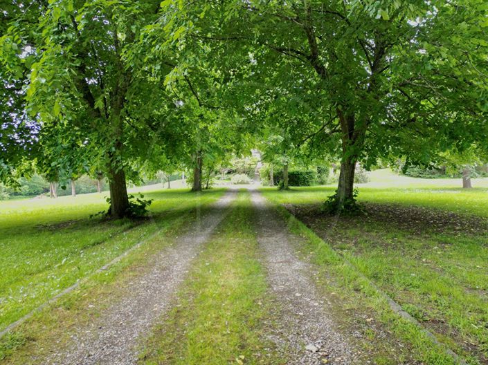 Image No.16-3 Bed House for sale