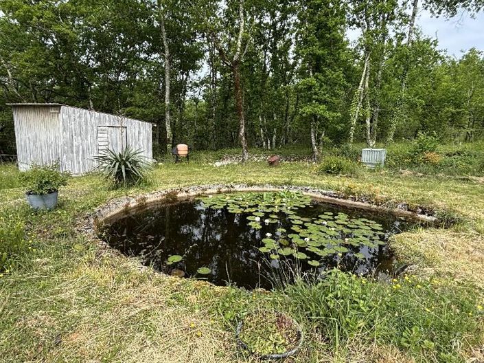 Image No.5-3 Bed House for sale