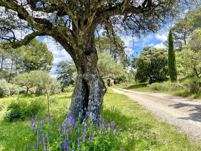 Image No.18-Maison de 5 chambres à vendre à Salernes