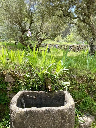 Image No.33-Maison de 5 chambres à vendre à Salernes