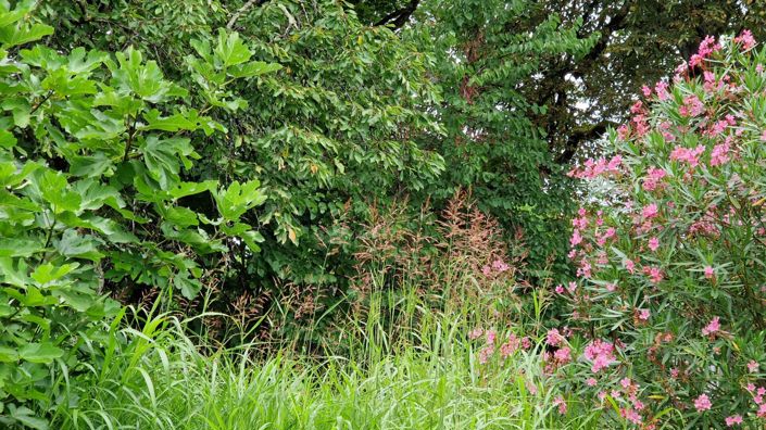 Image No.12-5 Bed House for sale