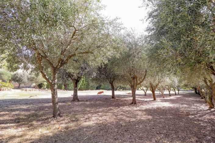 Image No.23-4 Bed House for sale