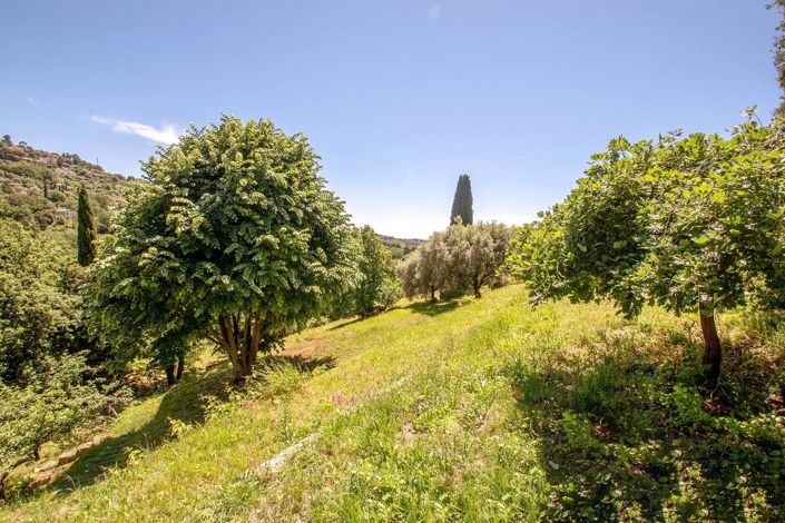 Image No.25-3 Bed House for sale