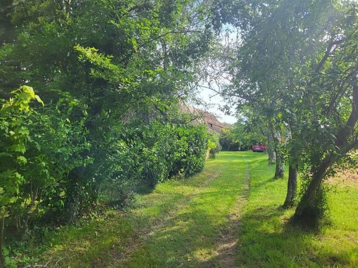 Image No.8-Maison de 4 chambres à vendre à Pressignac-Vicq