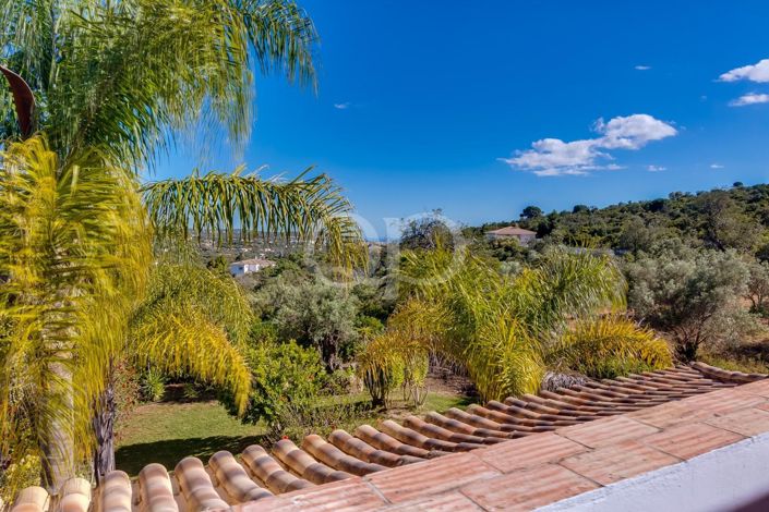Image No.13-Maison de 4 chambres à vendre à Loule