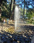 Image No.17-House for sale