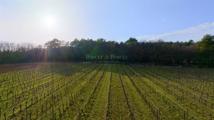 Image No.13-Maison de 4 chambres à vendre à La Calmette