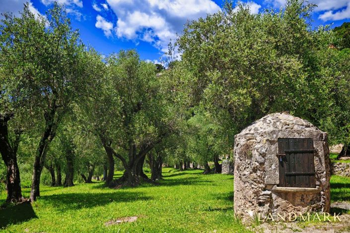 Image No.12-House for sale