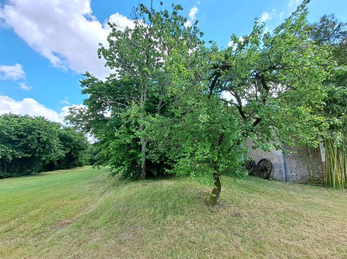 Image No.25-3 Bed House for sale