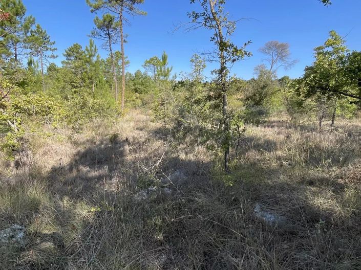 Image No.10-3 Bed House for sale