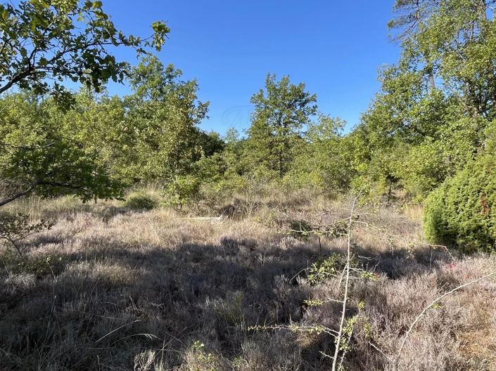 Image No.9-3 Bed House for sale