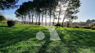 am4yq1jbx51fnpub3