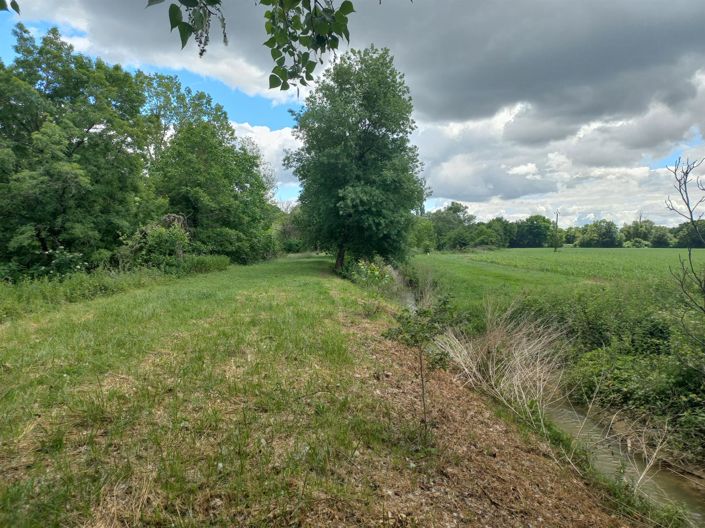 Image No.21-5 Bed House for sale