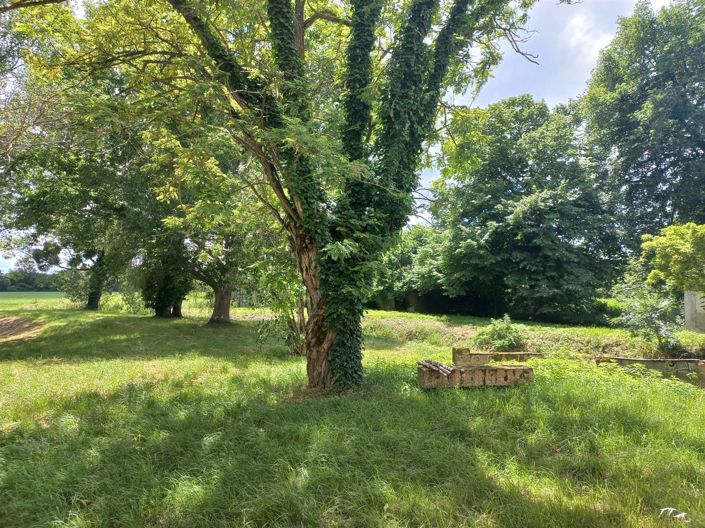 Image No.28-5 Bed House for sale