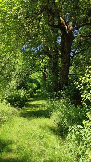 Image No.28-7 Bed House for sale