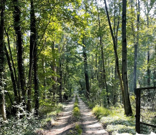 Image No.6-Maison à vendre à Samoreau