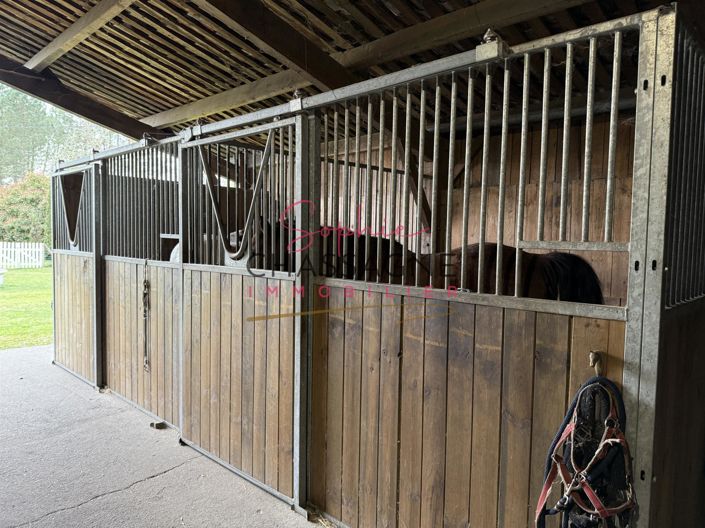 Image No.20-5 Bed House for sale