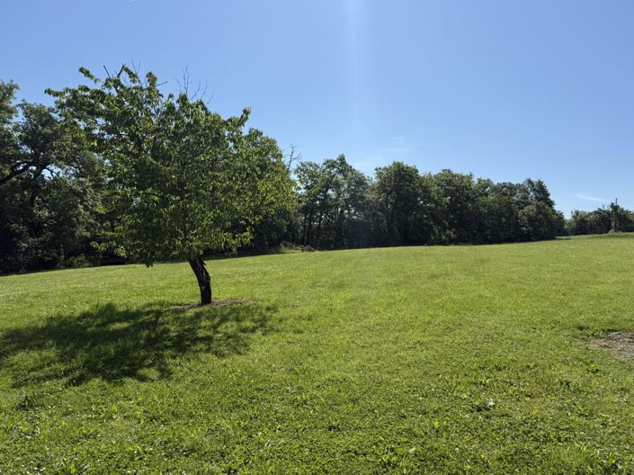 Image No.20-4 Bed House for sale