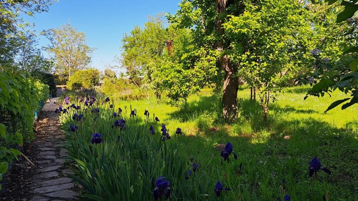 Image No.23-Propriété de 7 chambres à vendre à Fleuriel
