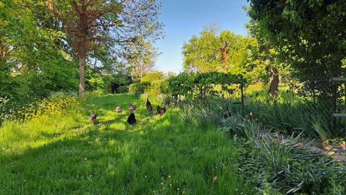 Image No.24-7 Bed Property for sale