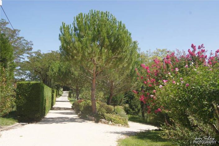 Image No.13-10 Bed Property for sale