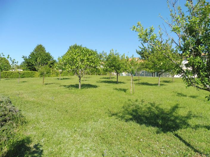 Image No.21-3 Bed House for sale