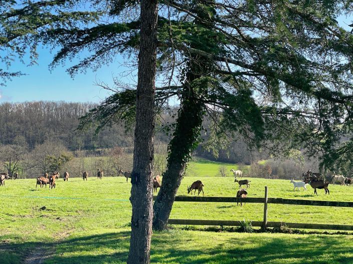 Image No.20-Maison de 5 chambres à vendre à Marciac