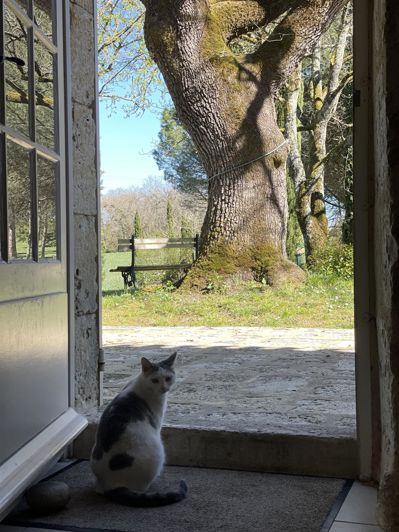 Image No.20-7 Bed House for sale