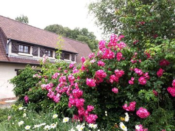 1 - Canlers, Maison