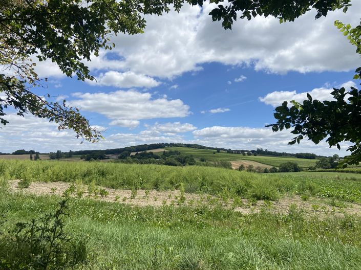 Image No.7-1 Bed House for sale