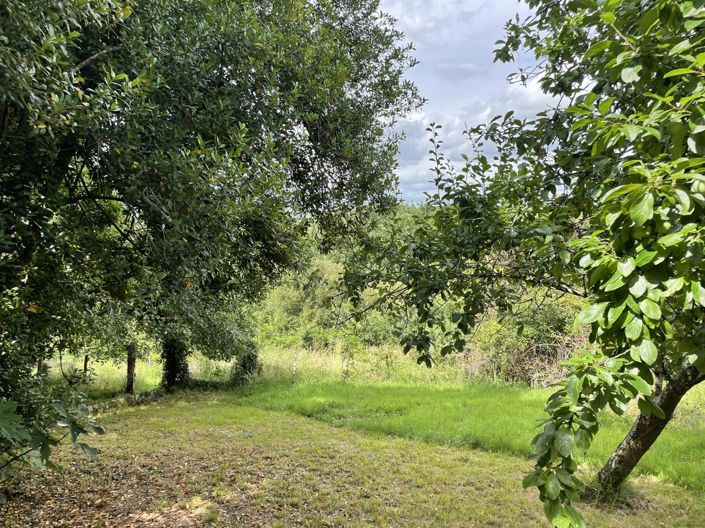 Image No.19-2 Bed House for sale