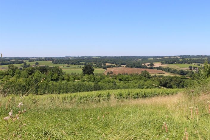 Image No.26-Maison de 8 chambres à vendre à Lagraulet-du-Gers