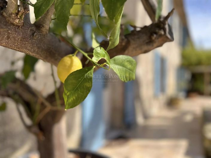 Image No.9-Maison de 8 chambres à vendre à Uzès