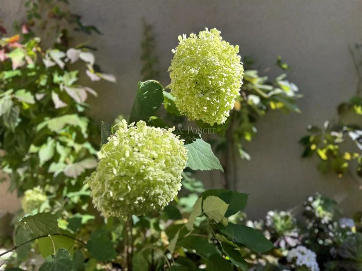 Image No.13-Maison de 4 chambres à vendre à Uzès
