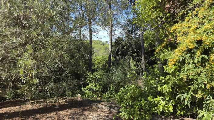 Image No.21-Maison de 7 chambres à vendre à Nîmes