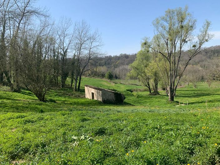 Image No.14-Maison de 5 chambres à vendre à Gensac