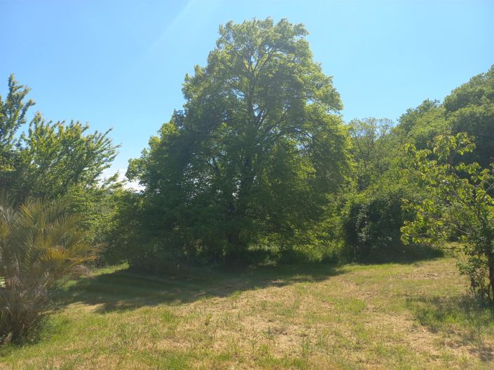 Image No.12-4 Bed House for sale