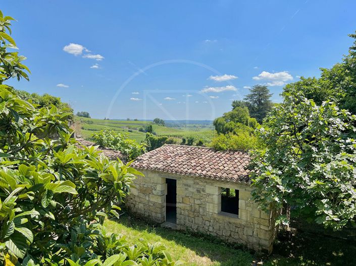 Image No.16-Maison de 2 chambres à vendre à Saint-Emilion