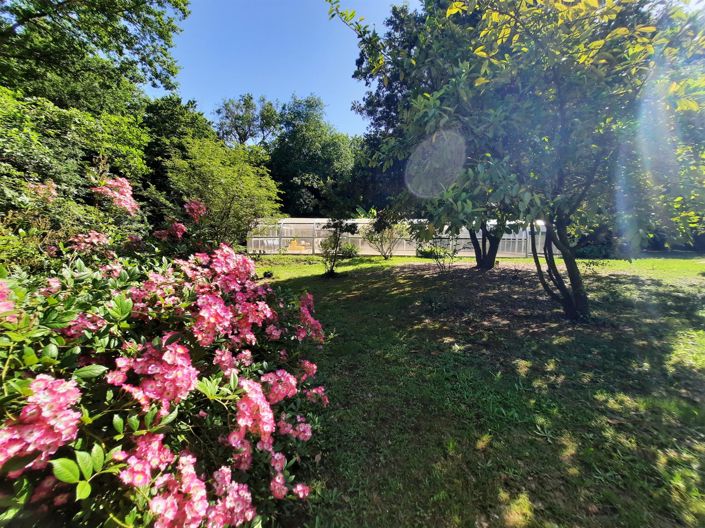 Image No.16-5 Bed House for sale