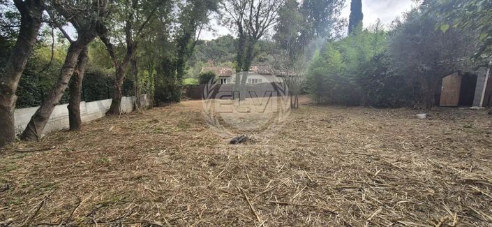 Image No.11-3 Bed House for sale