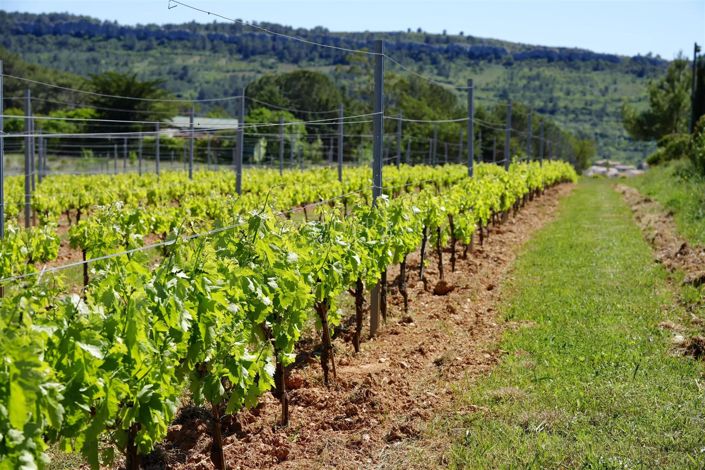 Image No.8-House for sale