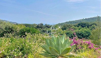1 - Le Lavandou, House