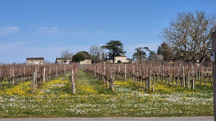 Image No.14-Maison de 6 chambres à vendre à Saint-Emilion