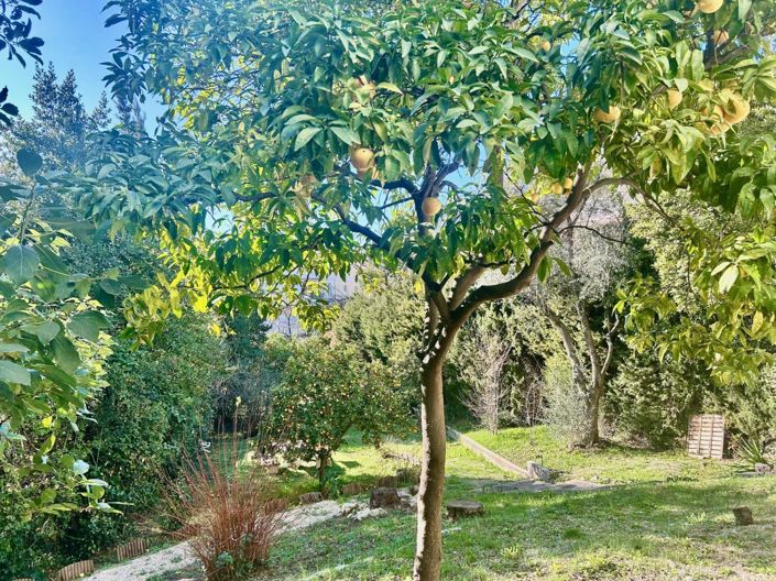 Image No.3-House for sale