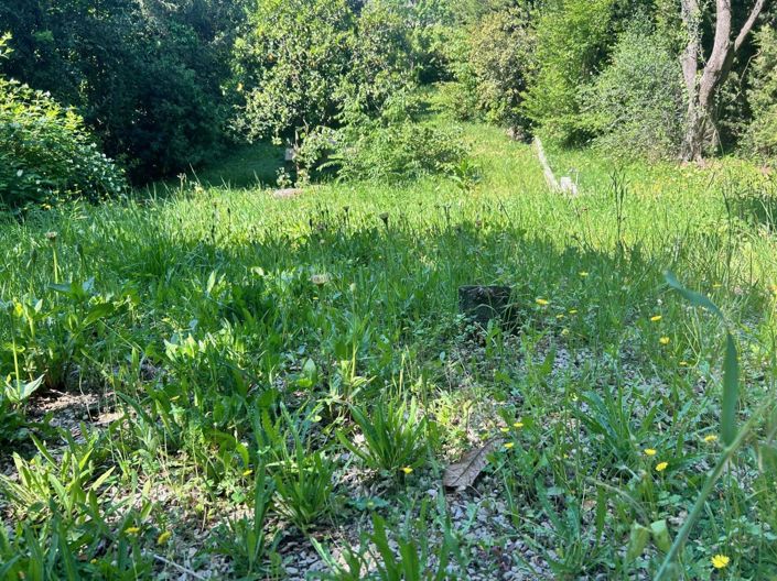 Image No.41-House for sale