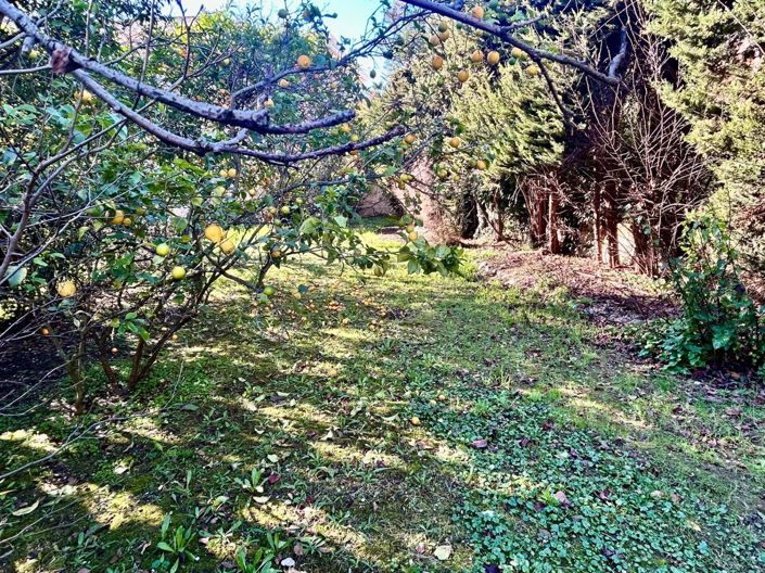 Image No.8-House for sale