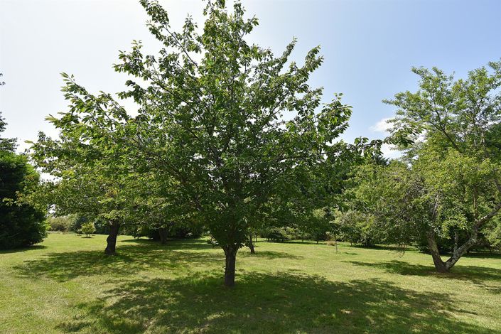 Image No.27-Maison de 5 chambres à vendre à Puy-l'Eveque