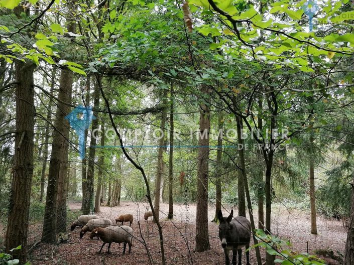 Image No.12-8 Bed House for sale